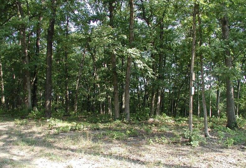 Lot 37 Garland Woods