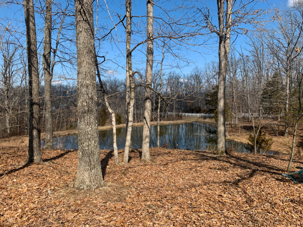 Pond at Black Oak Lane