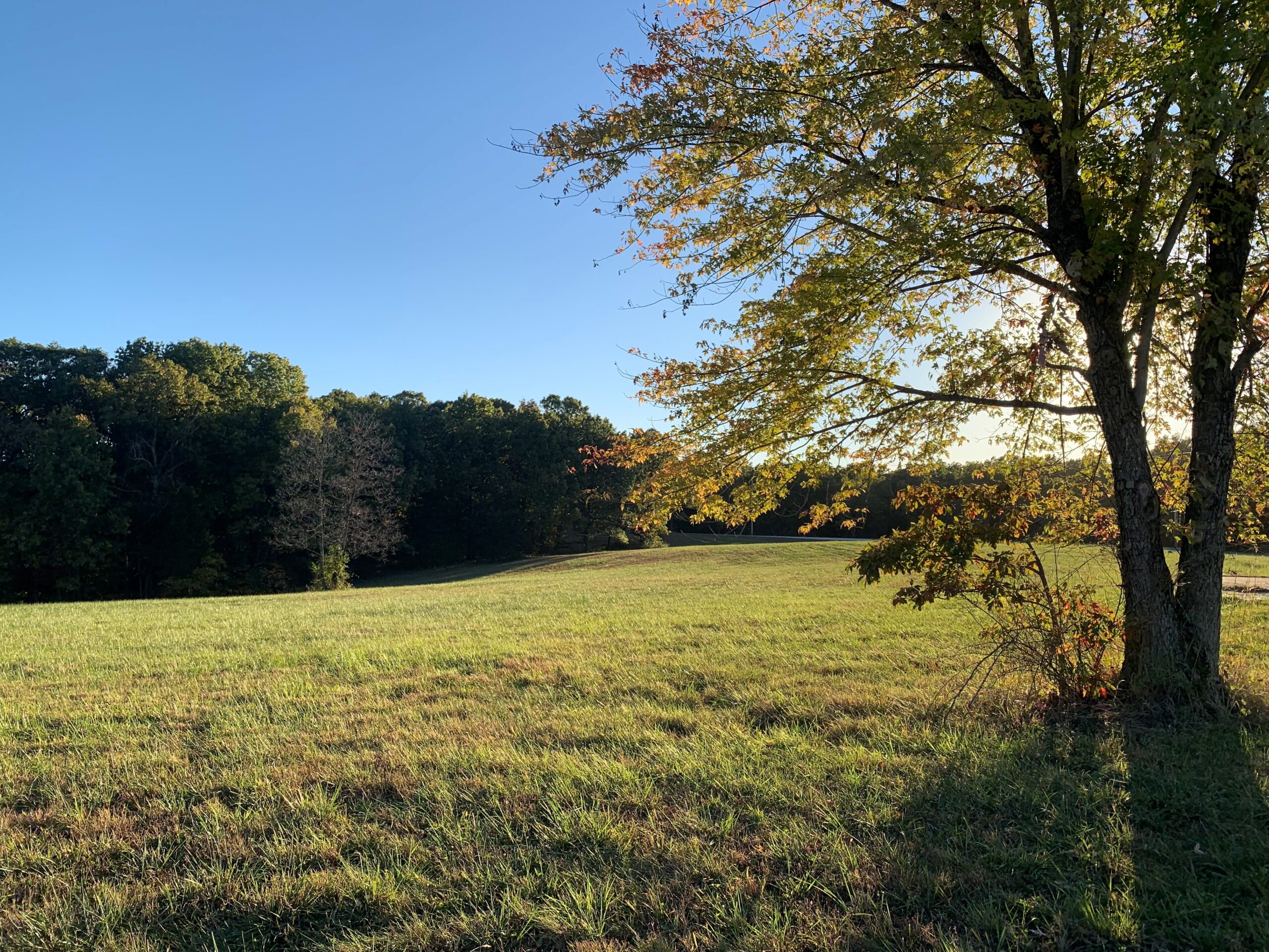 45 acres Sunset Trails