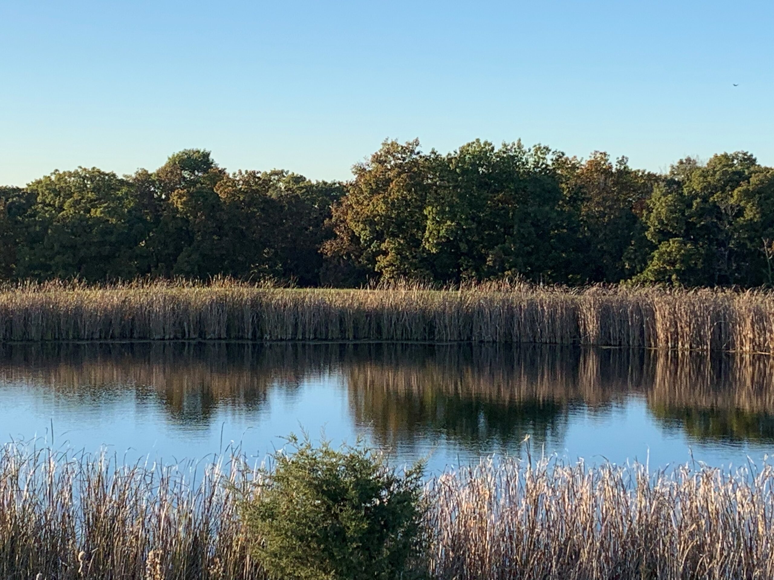 64 acres Sunset Trails