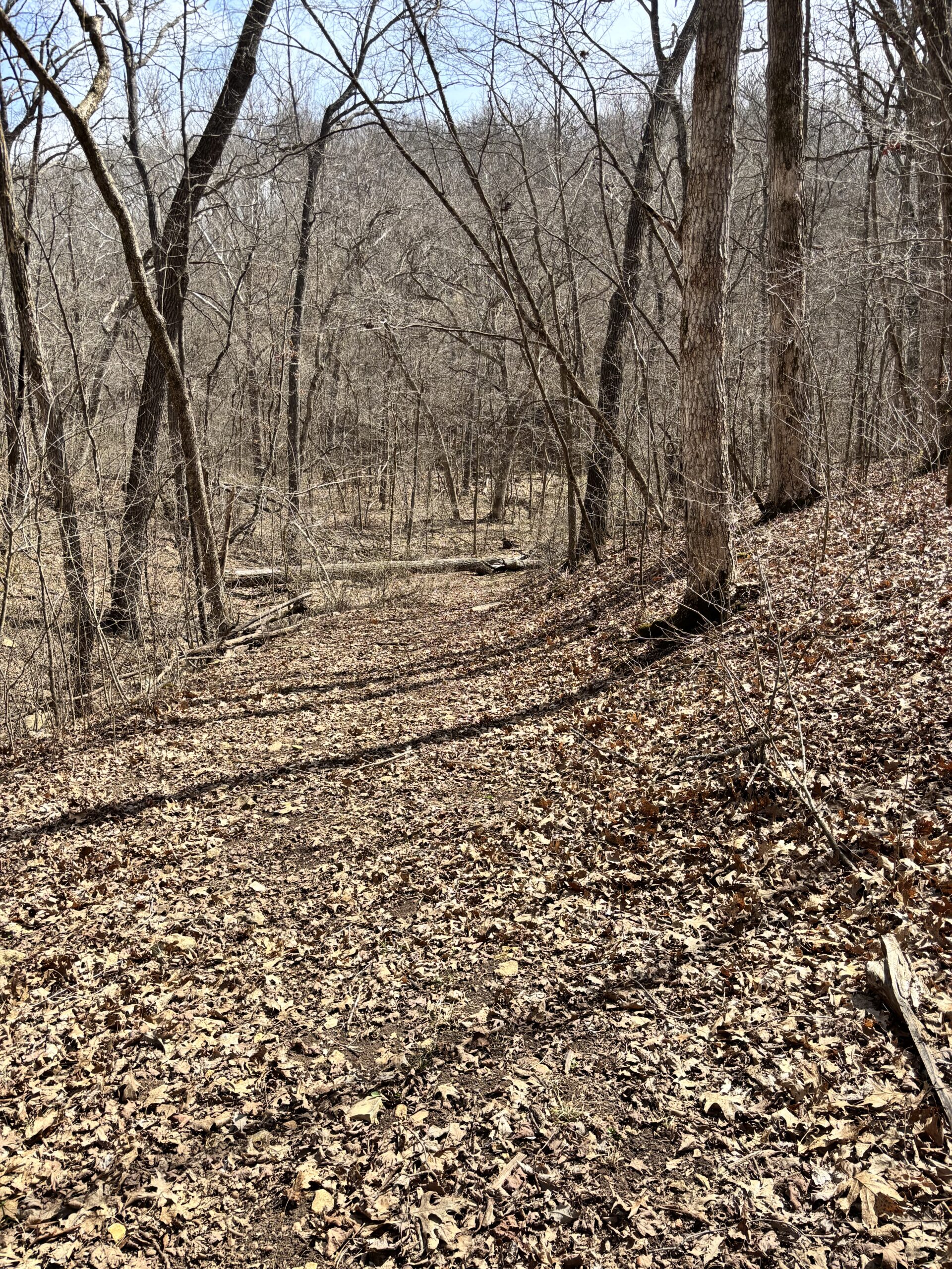 17.47 acres Hwy CC
