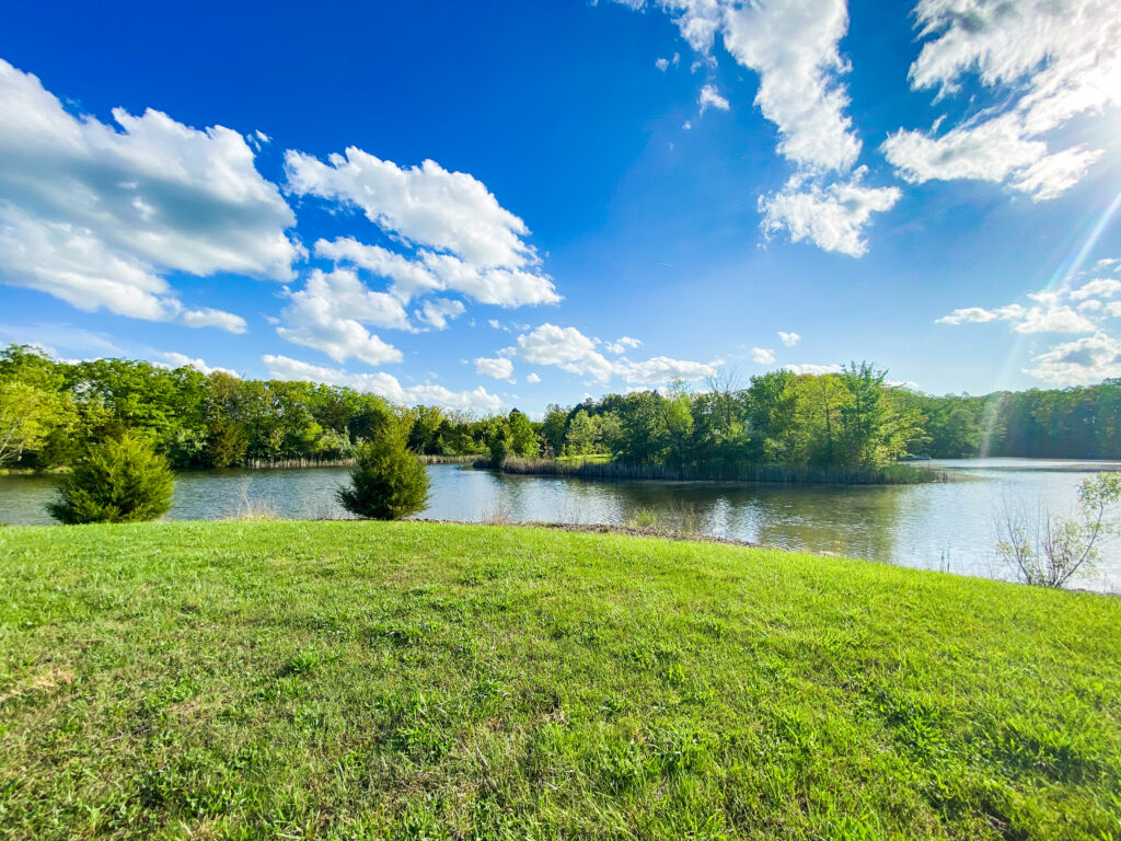 Shared lake