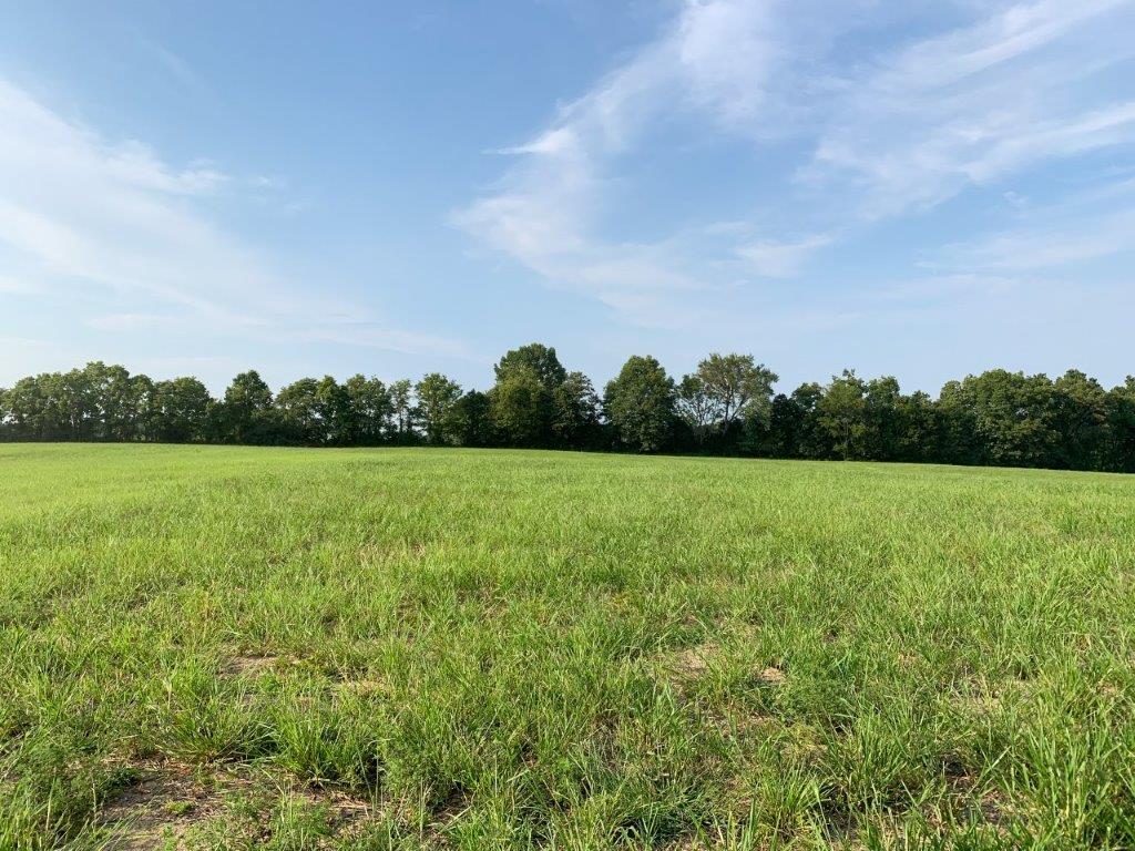 Lot 8 Springview Estates