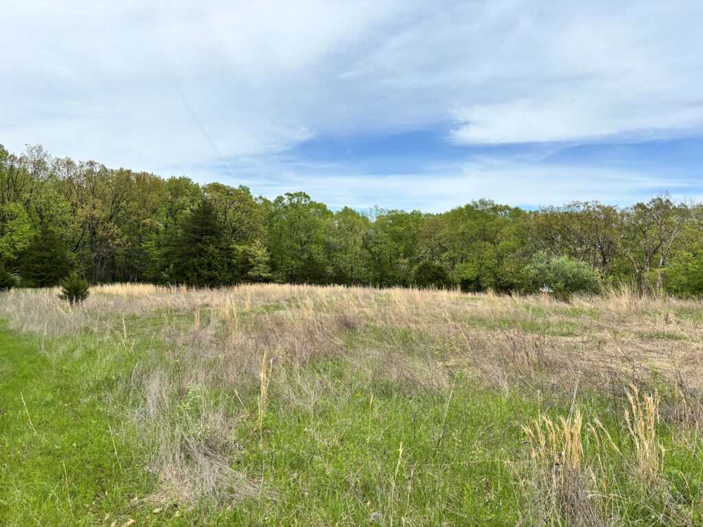 81.56 acres Williamsburg