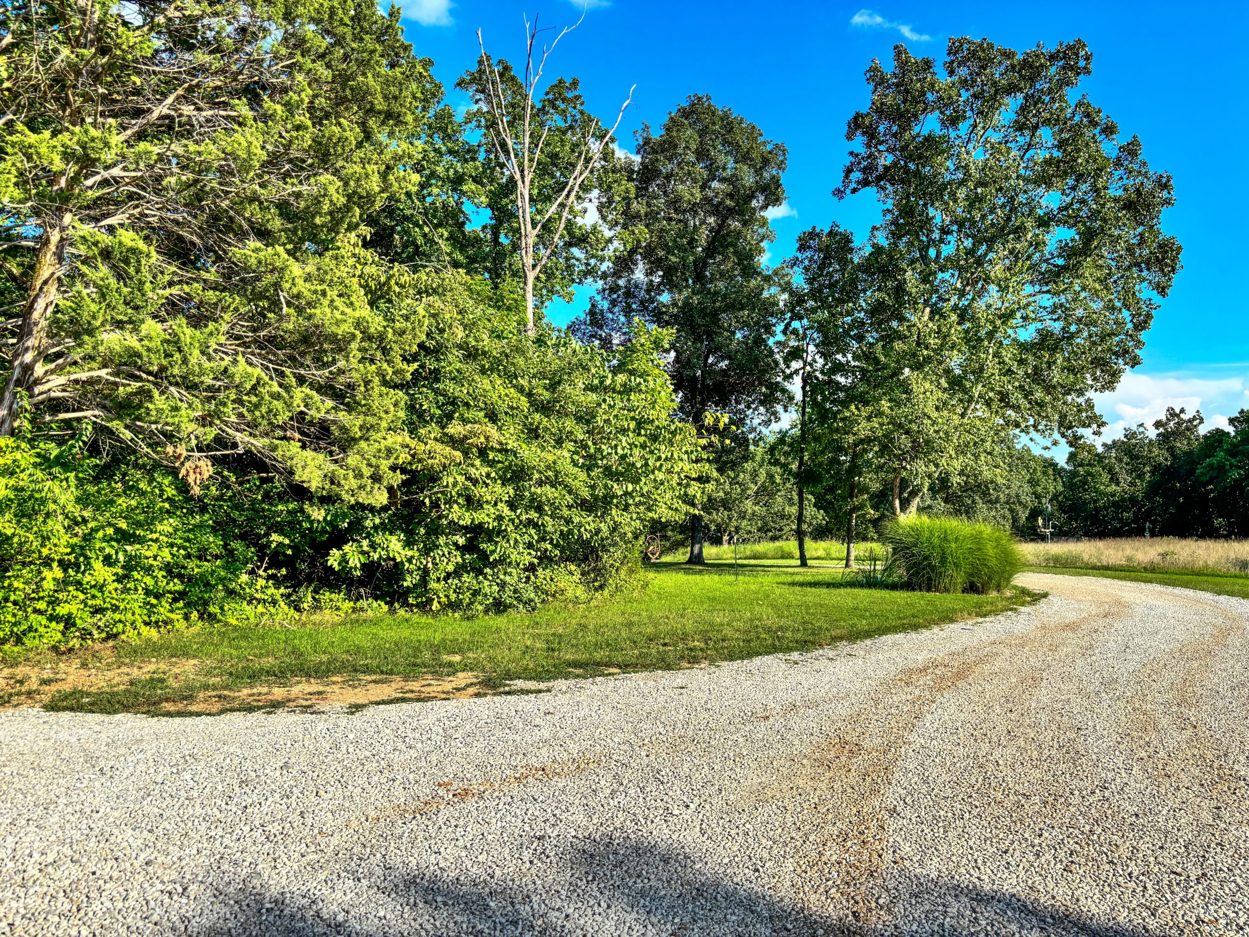 5 acres Dietrich Rd