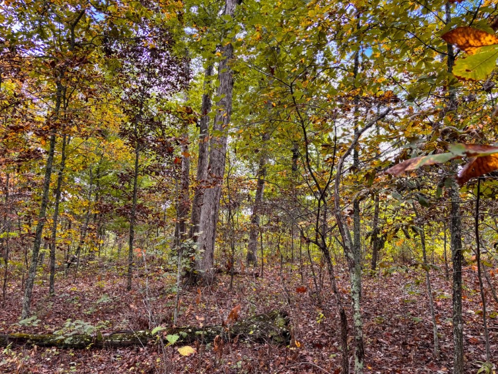 7.48 ac Chaparral