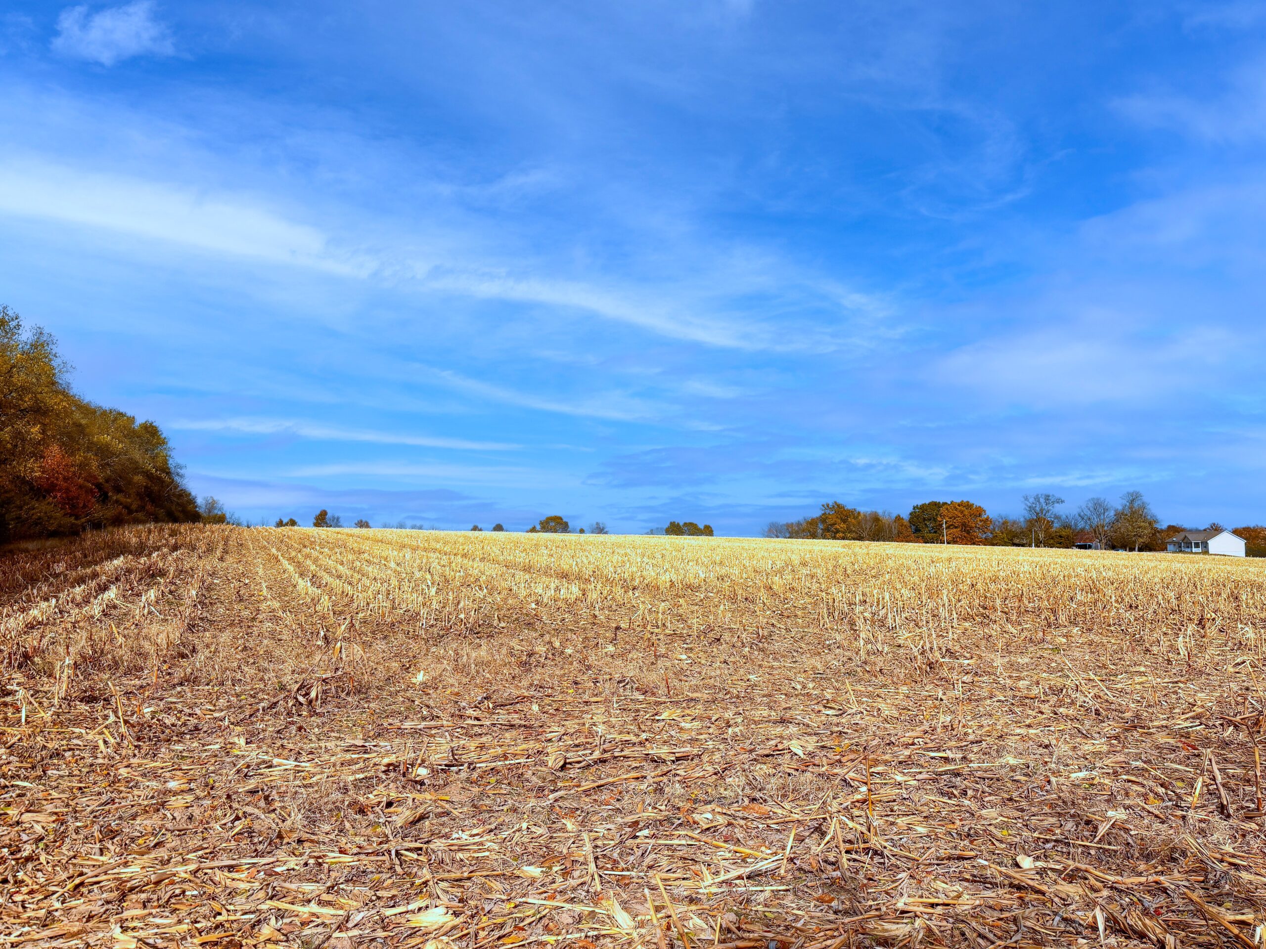 20.73 acres Stamer Rd