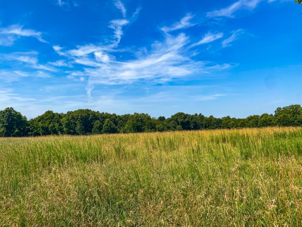 Springview Farms Lot 1