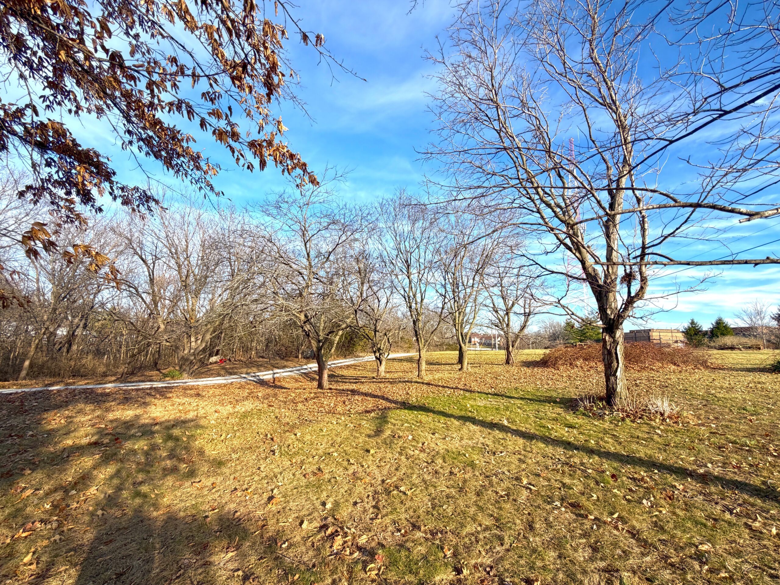 1825 S Henke Rd property