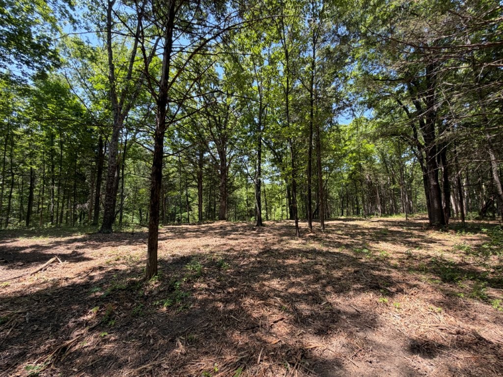 Buckner Rd 2.61 acres