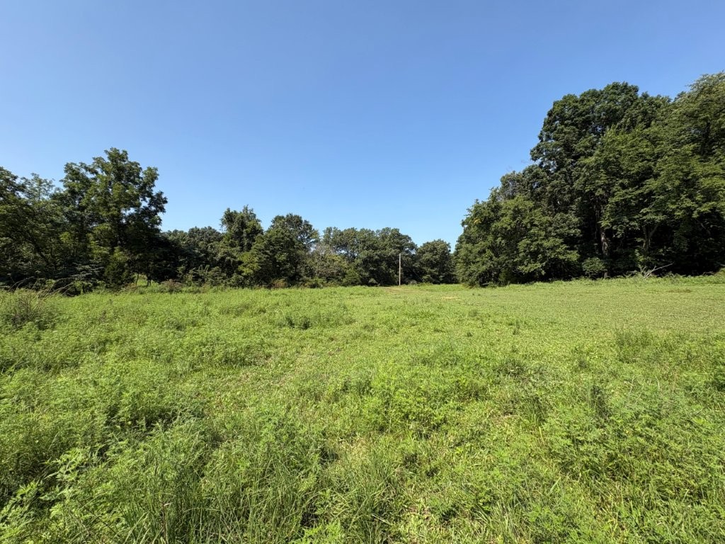 245 acres Hwy 185
