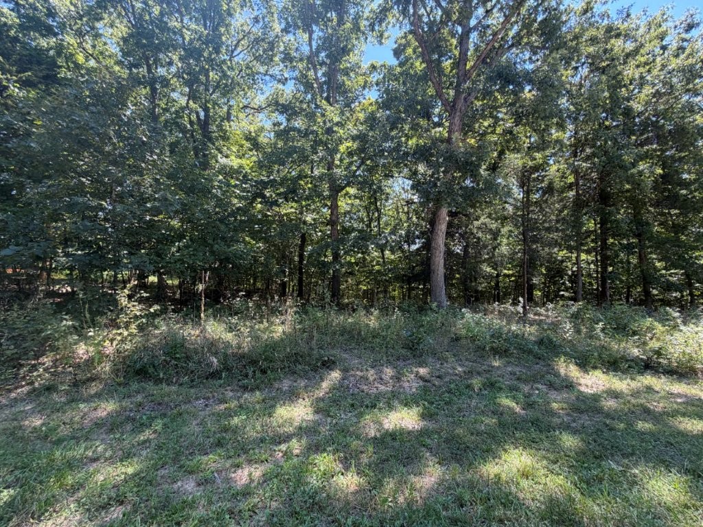 5.49 ac Warren Woods